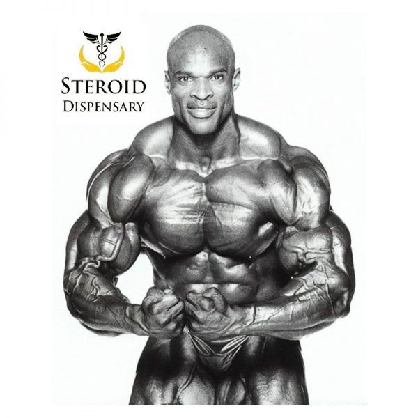 Bulk & Rip Cycle Offer