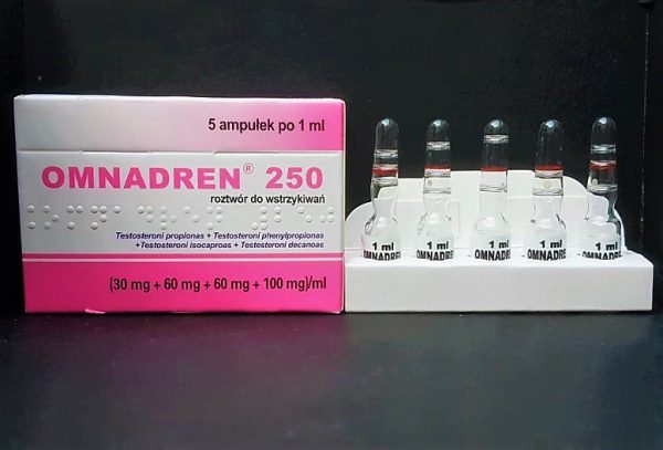 Omnadren 250 *Best Sustanon Going*