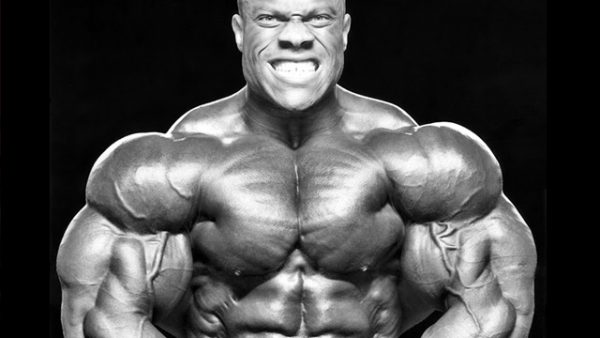 Dynamic Bulk Pack